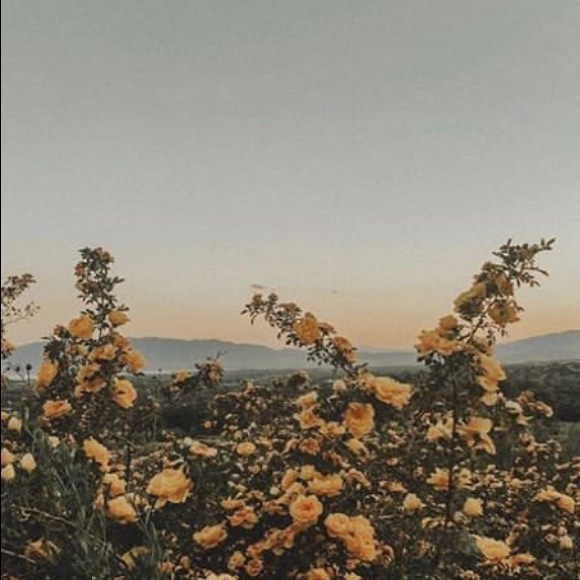 Meet your Posher, Ruthie - Picture 1 of 1